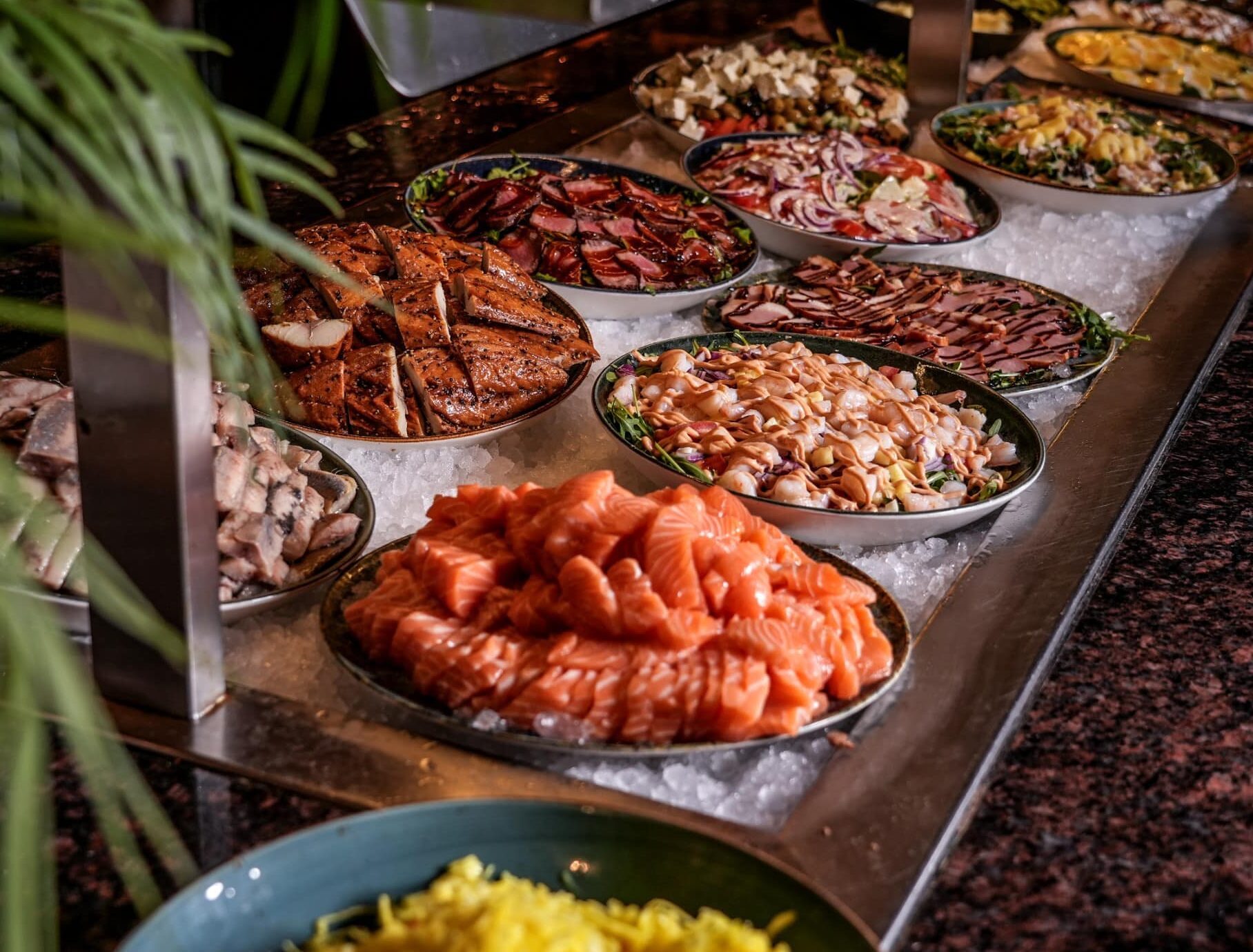 Robert Koelewijn Fotografie 250226 LR 159 e1772272729683